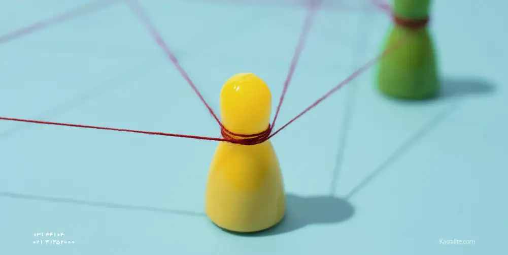 6 اصل متقاعد سازی